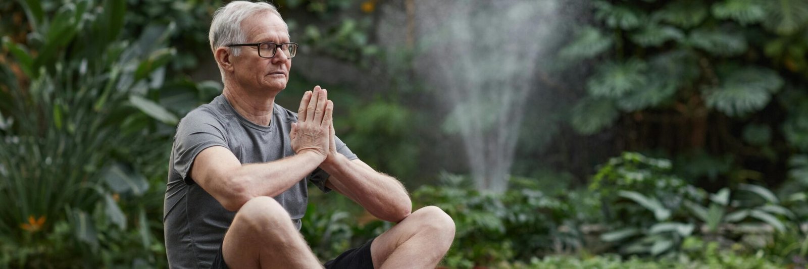 meditação de amor e bondade